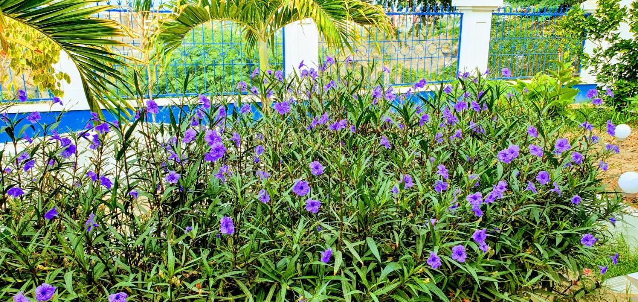 Kelly Guest House Praia Luaran gambar